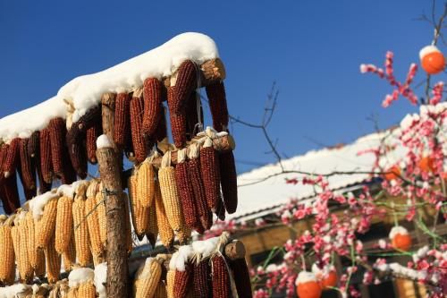 Snowdale Snow Maiden Inn-Snow Valley Scenic Area Branch photo 3