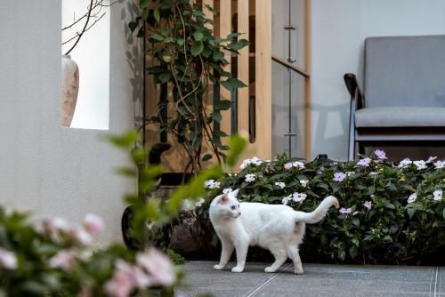 Yunhe Holiday Villa Designer Hotel photo 4