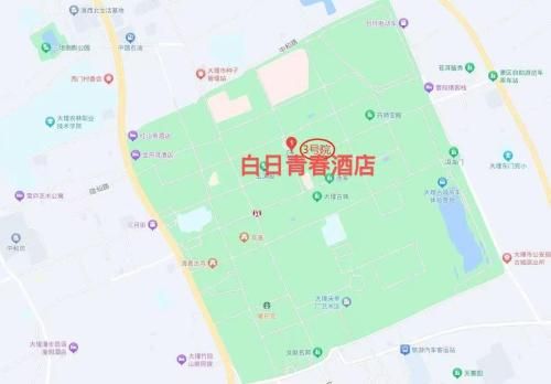 Dali Ancient Town Center White Day Youth Hotel photo 3