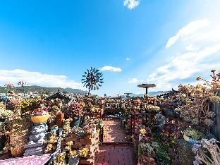 Floral Hotel·Lijiang Yuebanwan Light Luxury Homestay main photo