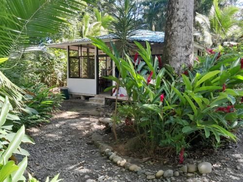 Beachfront Apartment Punta uva photo 5