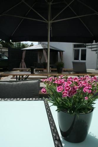 Seehafen Hostel - Facilities - 4
