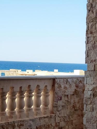 بيت العز للشقق الفندقية - علم الروم Bet Elezz Apartments-Alam Elrom - Surrounding environment - 2