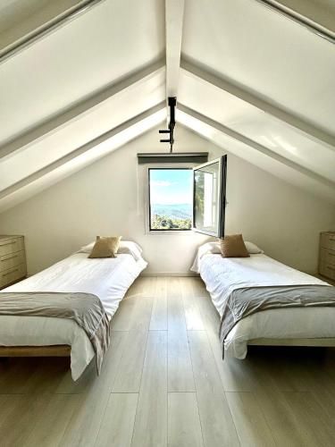 Skyfall dreams main photo