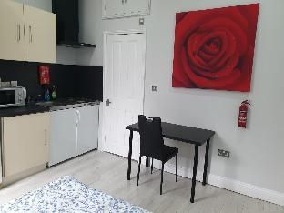 Dodi Aparts London, near Stratford close to tube station photo 4