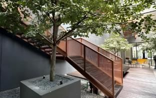 Fulmar Pasteur photo 2