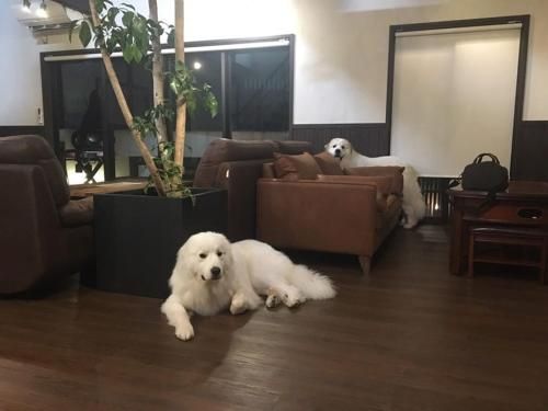 Miyajima Shiro photo 2