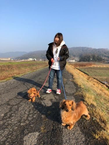 Rider & Guest House Kazeyoubi photo 5