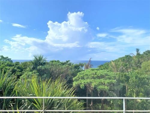 Blue cave Blue in Green - Vacation STAY 31673v photo 4