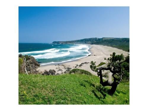 Hotel Tetora Hachinohe - Vacation STAY 38078v photo 4