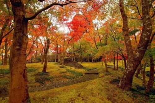 Jemsty Inn Hakone Ashinoko photo 5