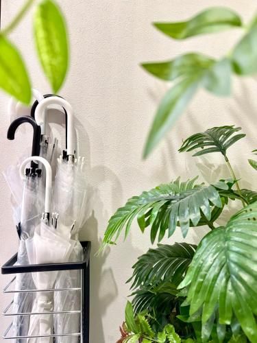 市中山居 中崎町駅3分鐘 大阪駅 梅田商圈 關西機場直達 3階日式傳統町屋 獨享110平超大空間 photo 4