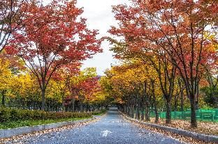 Incheon (Bupyeong) Reniel photo 3