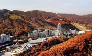 Phoenix Hotel Pyeongchang photo
