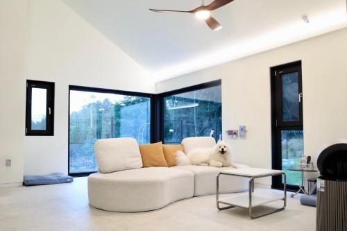 휘닉스파크 인근 애견동반 프라이빗 롯지 photo 2