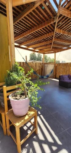 La Casa de Bamboo photo 3
