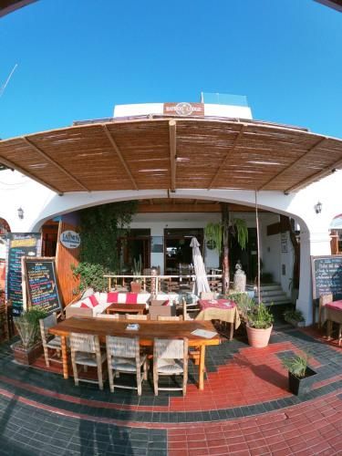 Bamboo Lodge Paracas photo 3
