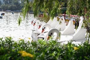 Affordable 1BR Condo near Town with WIFI 1 photo 2