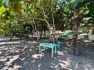 Alwin's Place Inn photo 2