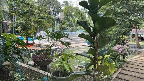 Lenjawi Resort and Events Place photo 4