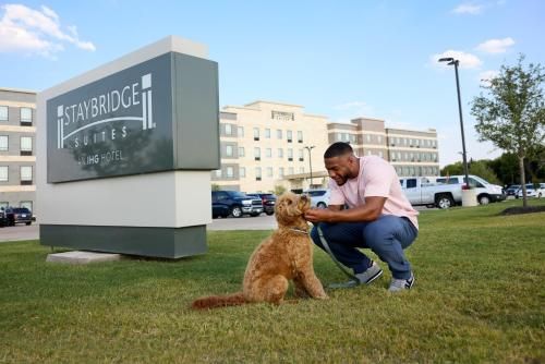 Staybridge Suites Clermont Southeast By IHG - Facilities - 3