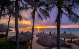 MAJESTIC PREMIUM photo 3